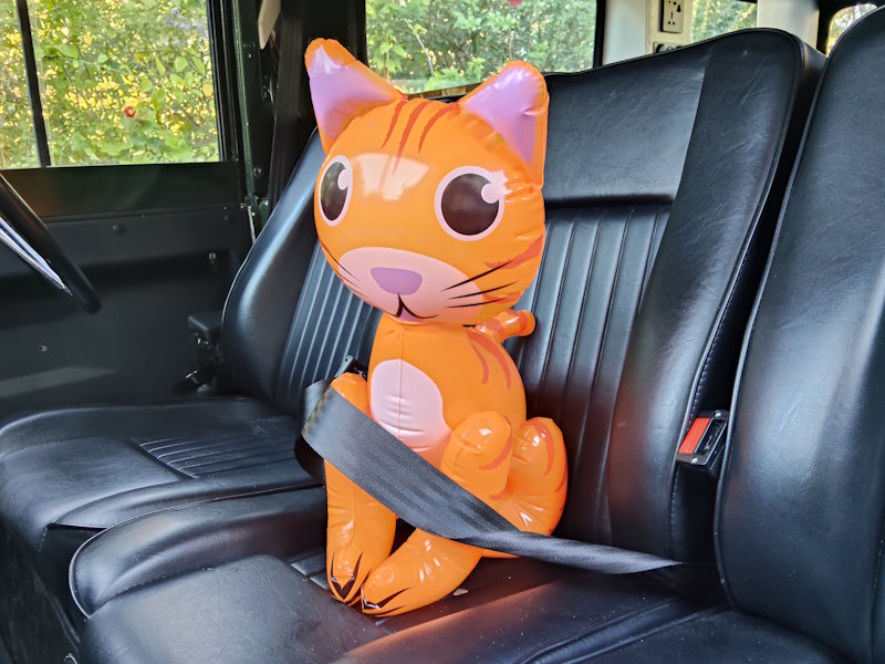 Portrait of Peanut, the Inflatable Inflatable Cat Mascot