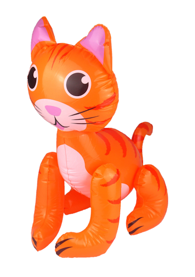 Peanut the Cat