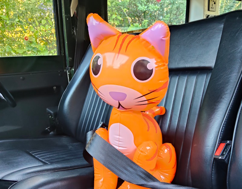 Peanut the Inflatable Cat